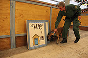 Ein Spürhund sucht um 1/2 8 zunächst einmal das ganze Zelt ab (Foto: Martin Schmitz)